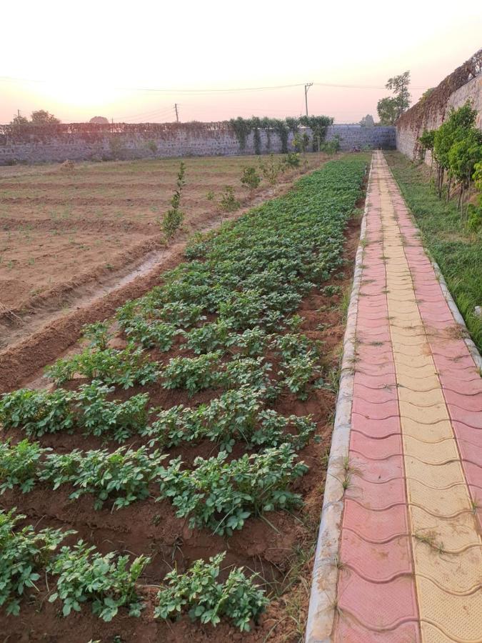 Ekant Farm House Vila Sohna Exterior foto