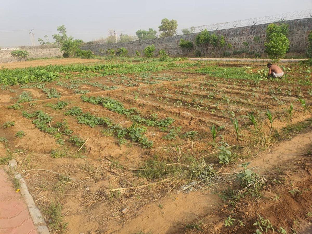 Ekant Farm House Vila Sohna Exterior foto