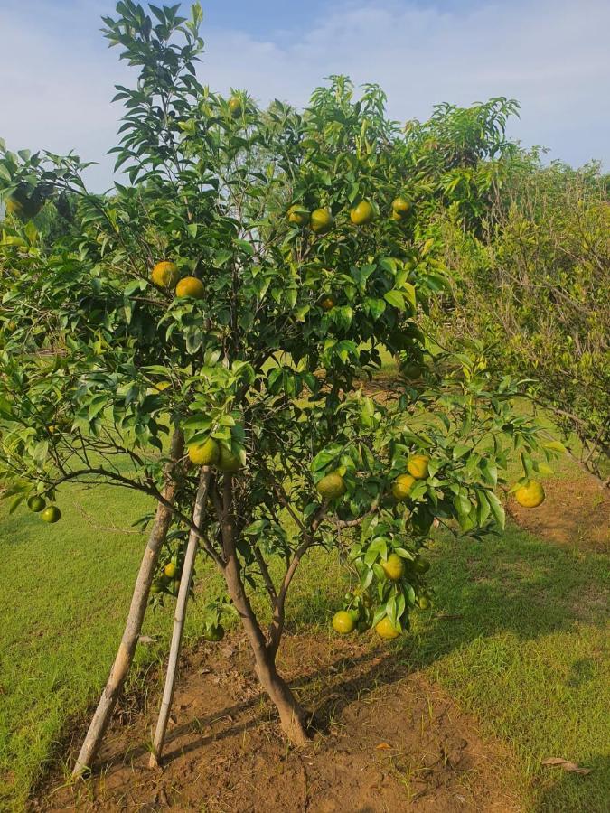 Ekant Farm House Vila Sohna Exterior foto