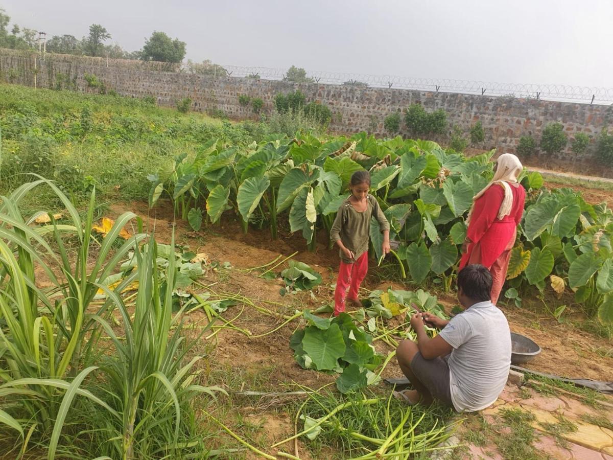 Ekant Farm House Vila Sohna Exterior foto