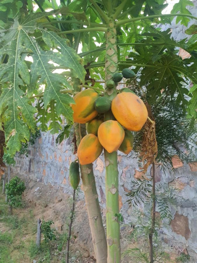 Ekant Farm House Vila Sohna Exterior foto